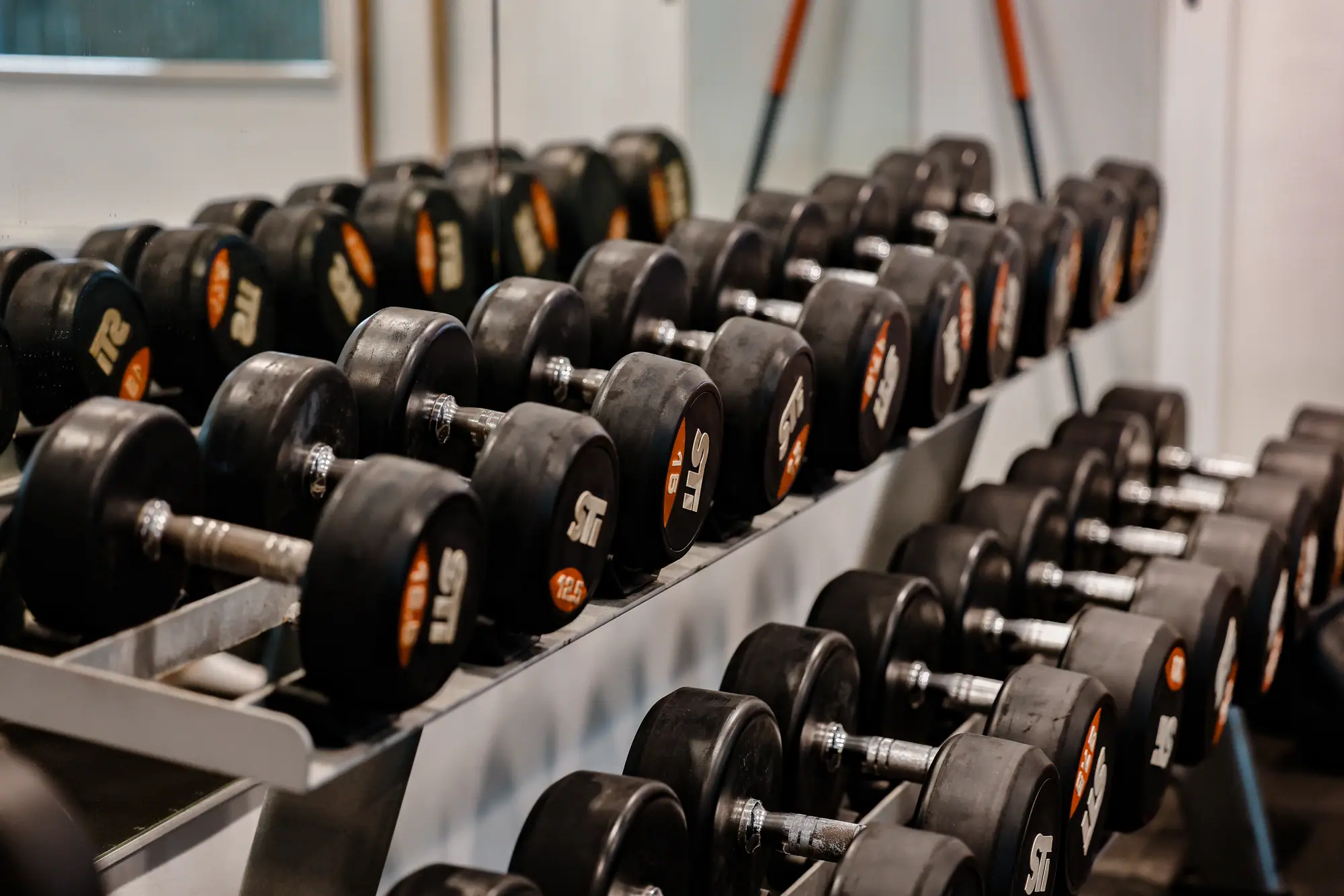 Rad av gummiklädda hantlar i ställ framför spegelväggen i klubbens gym